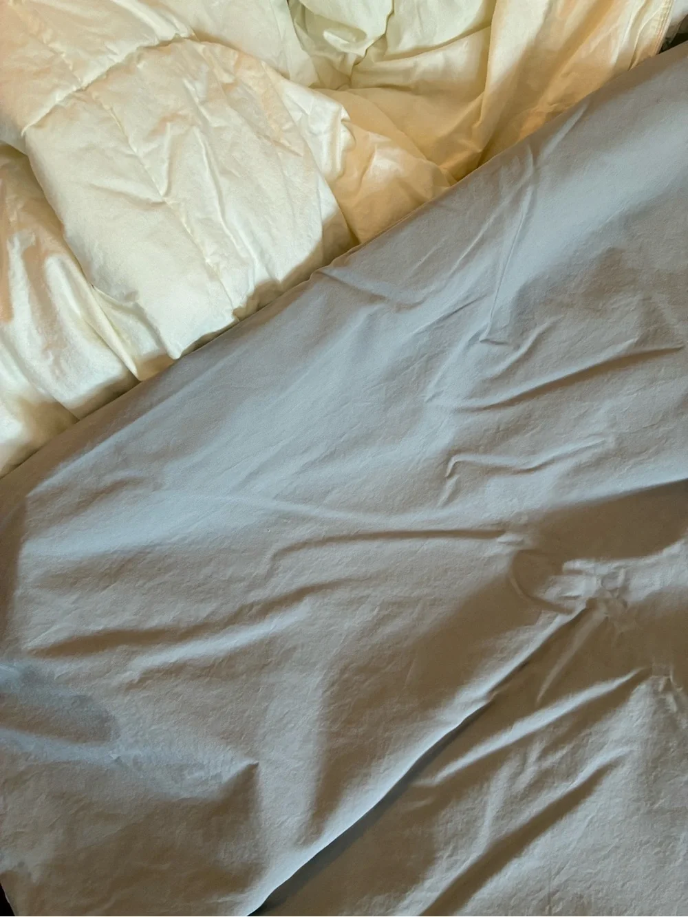 The Company Store XL Twin Light Gray Cotton Duvet Cover Ivory Comforter Std Sham